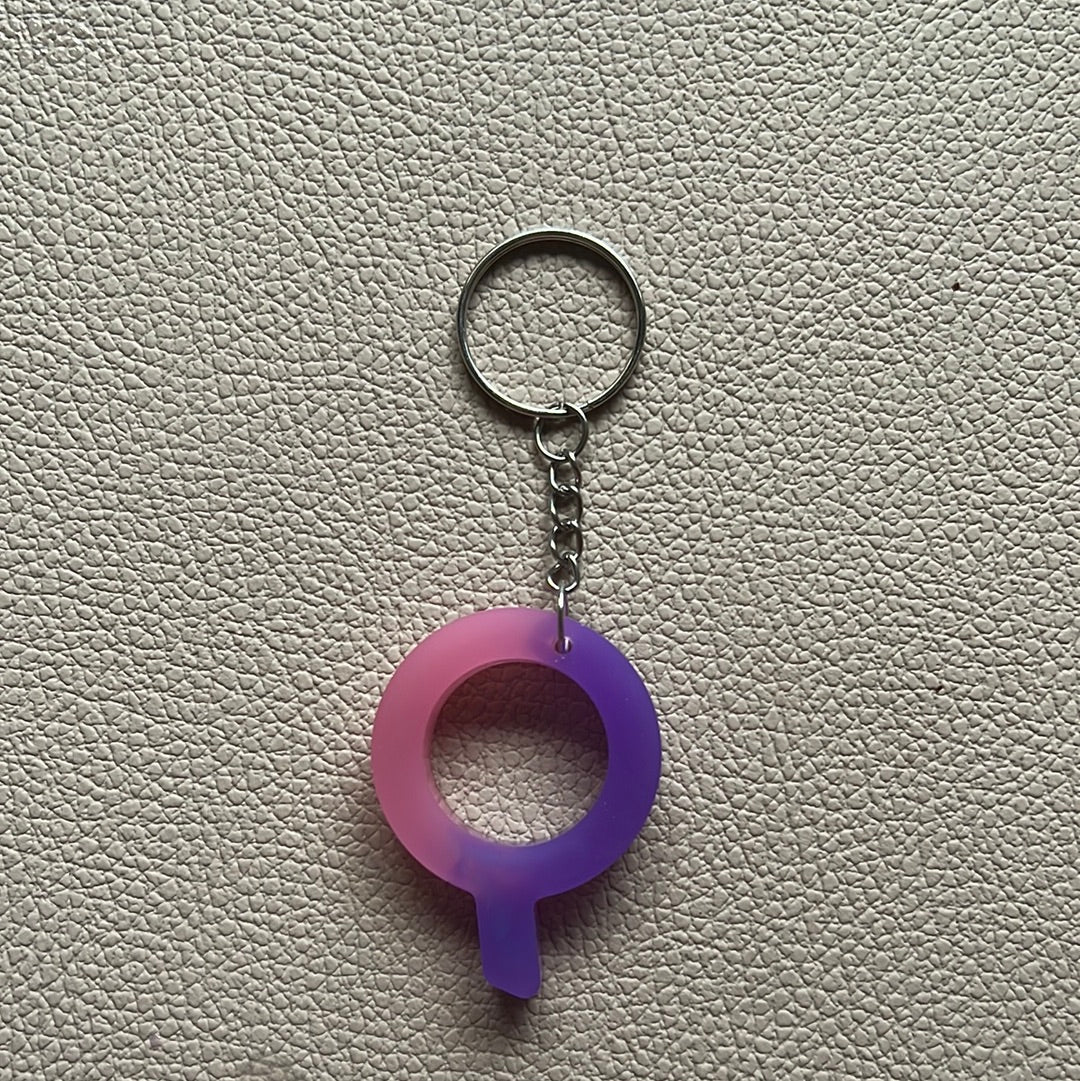 Pink & Purple Key Chain (Q)